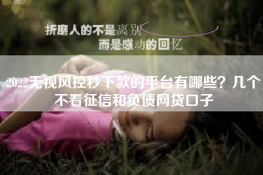 2022无视风控秒下款的平台有哪些？几个不看征信和负债网贷口子