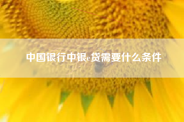 中国银行中银e贷需要什么条件