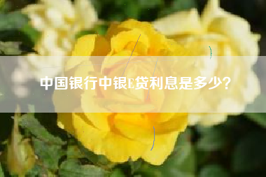 中国银行中银E贷利息是多少？