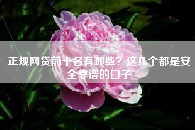 正规网贷前十名有哪些？这几个都是安全靠谱的口子