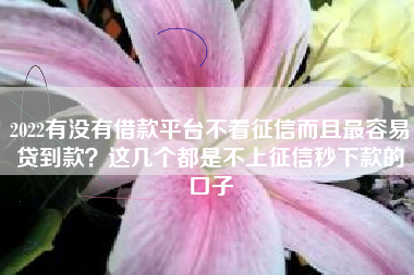 2022有没有借款平台不看征信而且最容易贷到款？这几个都是不上征信秒下款的口子