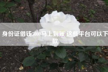 身份证借钱5000马上到账 这些平台可以下款