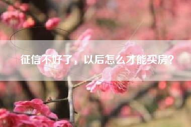 征信不好了，以后怎么才能买房？