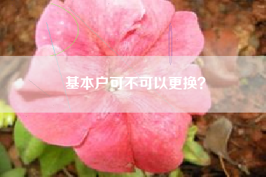 基本户可不可以更换？