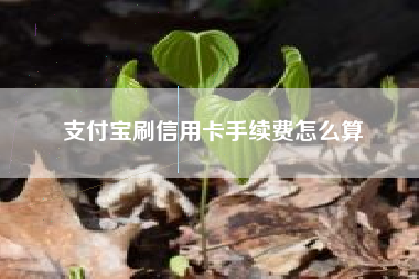 支付宝刷信用卡手续费怎么算