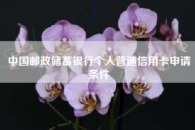 中国邮政储蓄银行个人普通信用卡申请条件