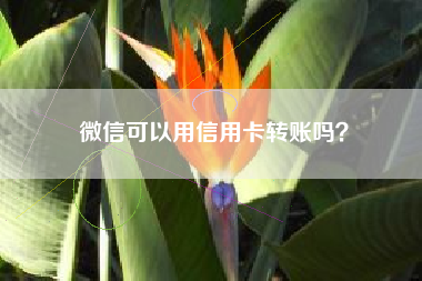微信可以用信用卡转账吗？