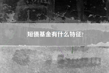 短债基金有什么特征?
