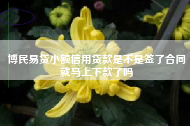 博民易贷小额信用贷款是不是签了合同就马上下款了吗