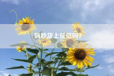 嗨秒贷上征信吗？