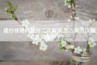 建行快贷额度分二次申请,怎么第二次额度又刷不了？