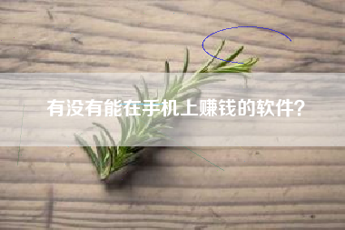 有没有能在手机上赚钱的软件？