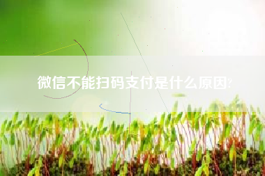 微信不能扫码支付是什么原因?