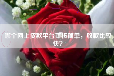 哪个网上贷款平台审核简单，放款比较快？