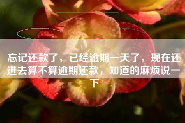 忘记还款了，已经逾期一天了，现在还进去算不算逾期还款，知道的麻烦说一下