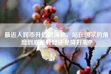 最近人民币升值很强劲，站在国家的角度到底是升好还是降好呢？