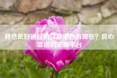 利息低好通过的贷款平台有哪些？良心靠谱的正规平台