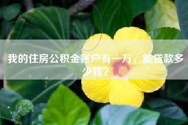 我的住房公积金账户有一万，能贷款多少钱？
