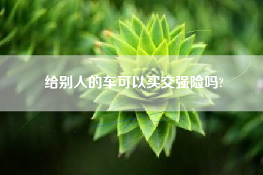 给别人的车可以买交强险吗?