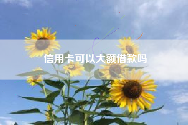 信用卡可以大额借款吗