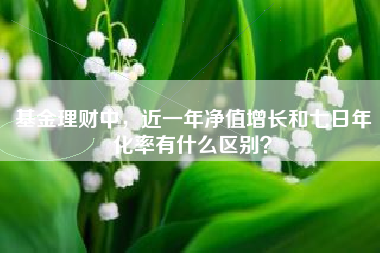 基金理财中，近一年净值增长和七日年化率有什么区别？