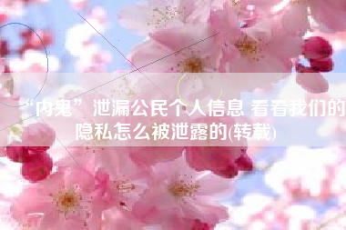 “内鬼”泄漏公民个人信息 看看我们的隐私怎么被泄露的(转载)