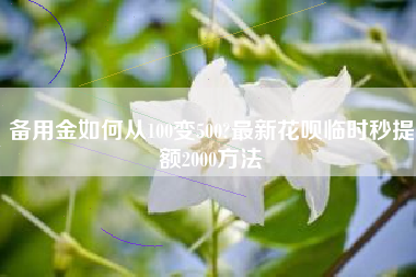 备用金如何从100变500?最新花呗临时秒提额2000方法