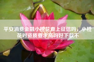 平安消费金融小橙花查上征信吗，小橙花对资质要求高吗好下款不