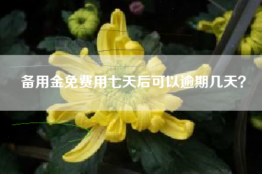 备用金免费用七天后可以逾期几天？