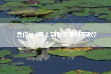 急借5000马上到账哪里好下款？