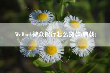 WeBank微众银行怎么贷款(转载)