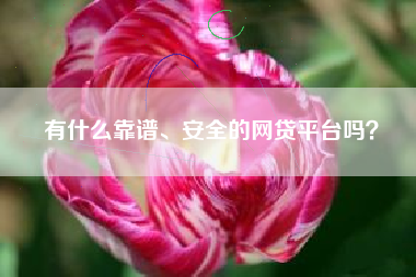 有什么靠谱、安全的网贷平台吗？