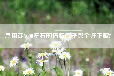 急用钱5000左右的借款口子哪个好下款?