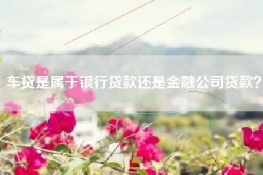 车贷是属于银行贷款还是金融公司贷款？