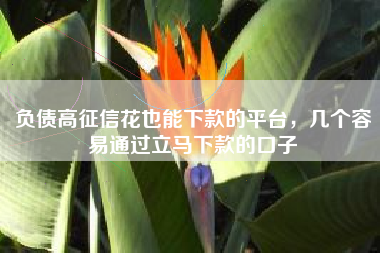 负债高征信花也能下款的平台，几个容易通过立马下款的口子
