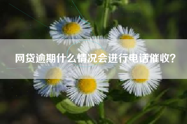 网贷逾期什么情况会进行电话催收？