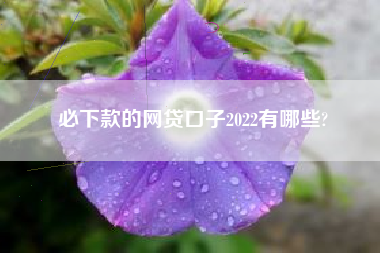 必下款的网贷口子2022有哪些?