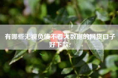 有哪些无视负债不看大数据的网贷口子好下款?