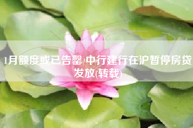 1月额度或已告罄 中行建行在沪暂停房贷发放(转载)