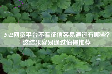 2022网贷平台不看征信容易通过有哪些？这结果容易通过值得推荐