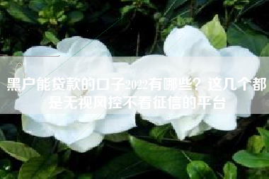 黑户能贷款的口子2022有哪些？这几个都是无视风控不看征信的平台