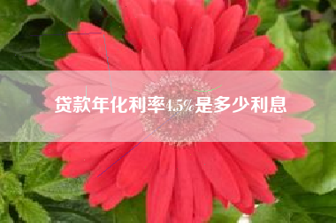 贷款年化利率4.5%是多少利息
