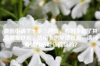 最近申请了十多个网贷，有的下款了其他都是秒拒，信用卡也申请被拒，请问有啥办法能贷款到的？