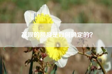 花呗的额度是如何确定的？