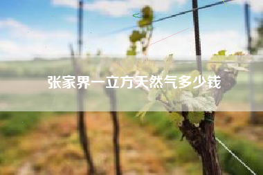 张家界一立方天然气多少钱
