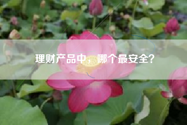 理财产品中，哪个最安全？