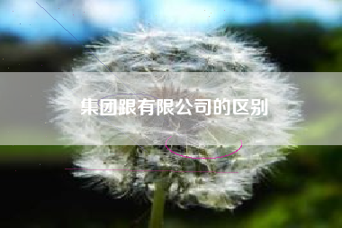 集团跟有限公司的区别