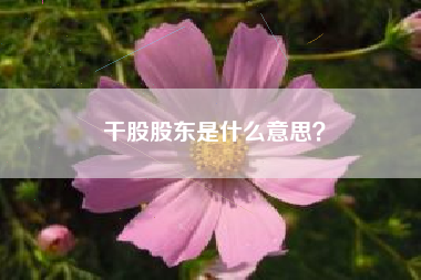 干股股东是什么意思？