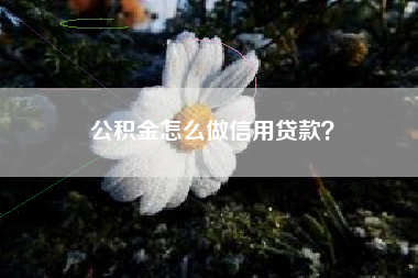 公积金怎么做信用贷款？
