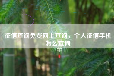 征信查询免费网上查询，个人征信手机怎么查询